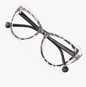 Stylish Tortoiseshell Eyeglasses